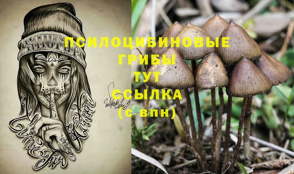 гашиш Снежногорск
