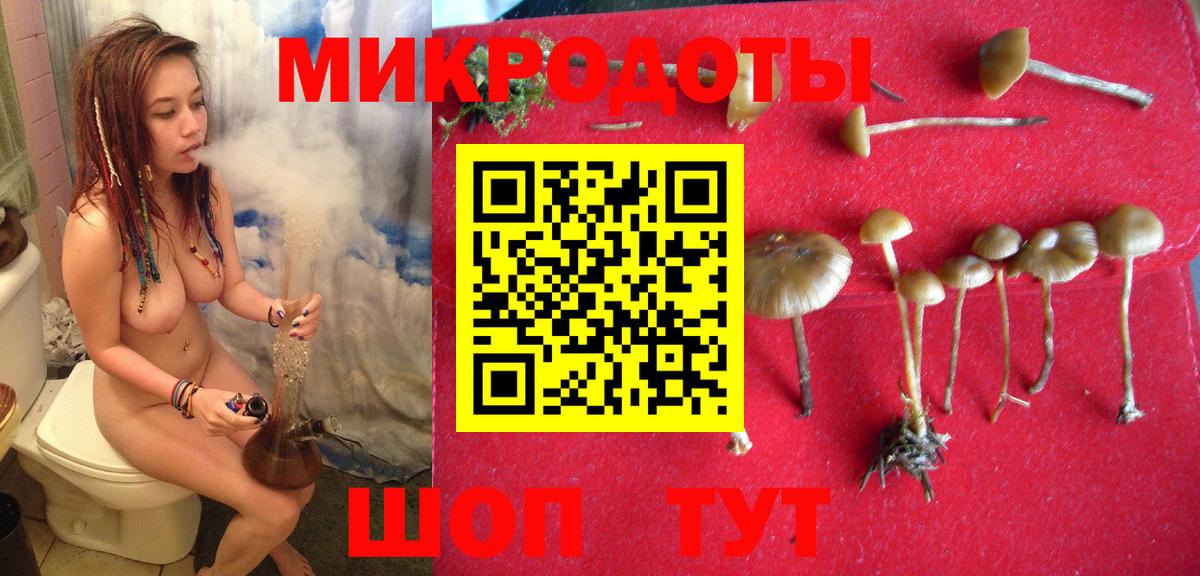 Псилоцибиновые грибы мухоморы  Вход с VPN  Мурино 