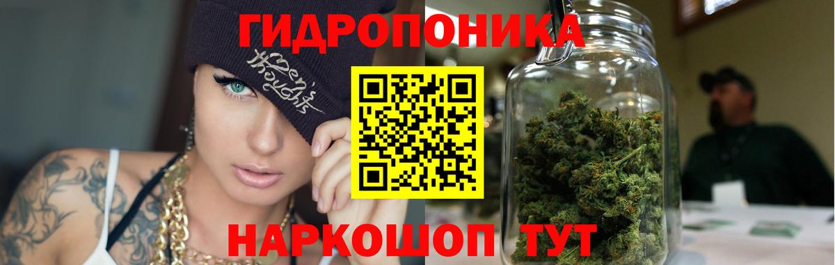 Каннабис конопля  Марихуана план  Мурино  Шишки марихуана THC 21%  Вход с VPN 